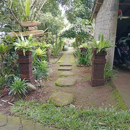 Bali mountain forest cabin Penebel Esterno foto