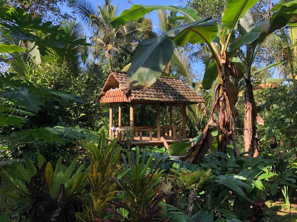 Bali mountain forest cabin Penebel Esterno foto