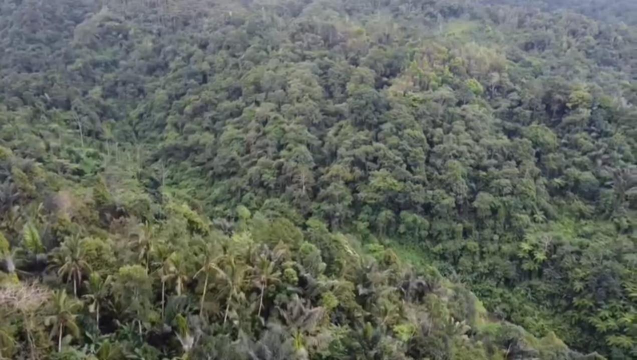 Bali mountain forest cabin Penebel Esterno foto