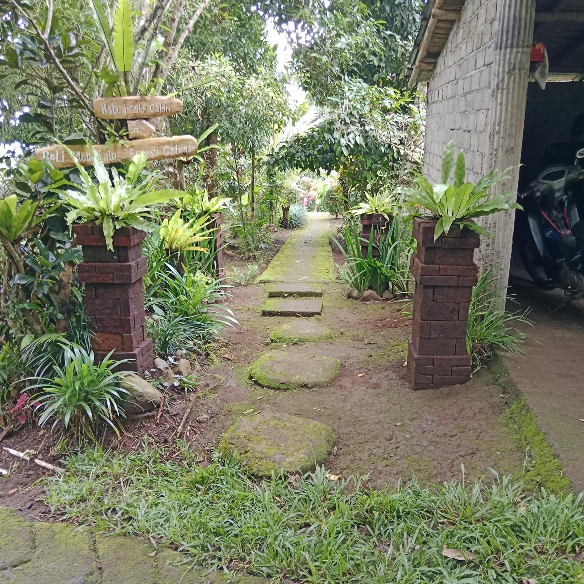 Bali mountain forest cabin Penebel Esterno foto