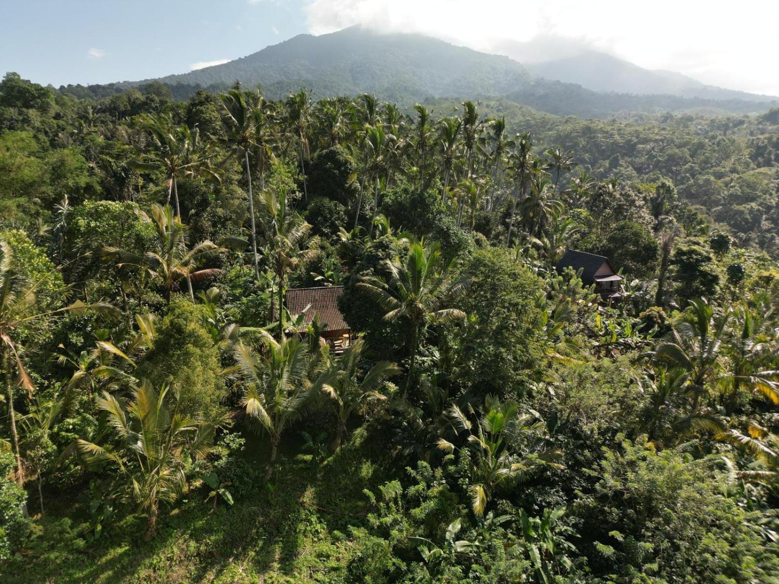 Bali mountain forest cabin Penebel Camera foto