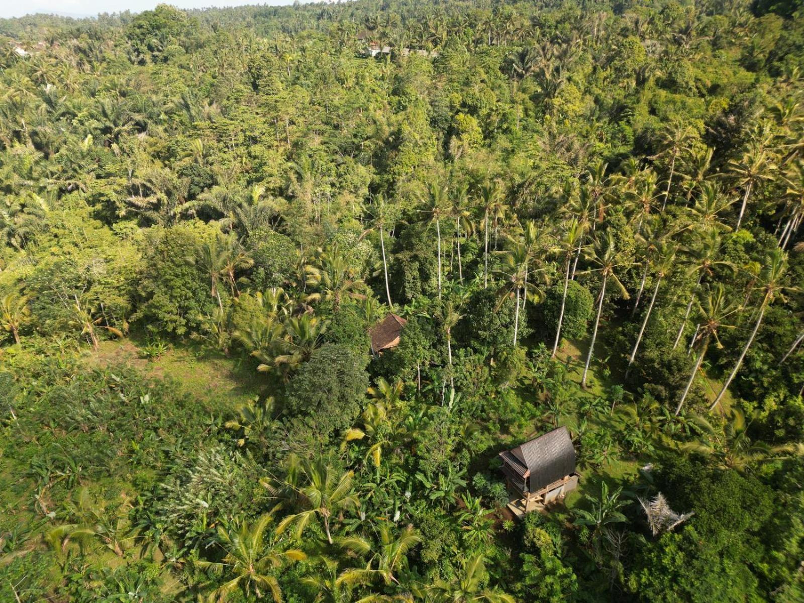 Bali mountain forest cabin Penebel Camera foto
