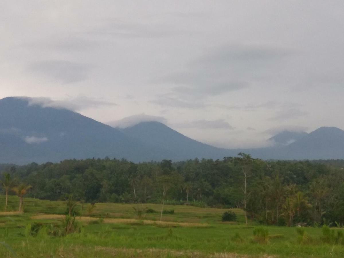 Bali mountain forest cabin Penebel Esterno foto